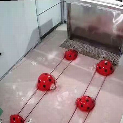 皇冠app手机投注下载