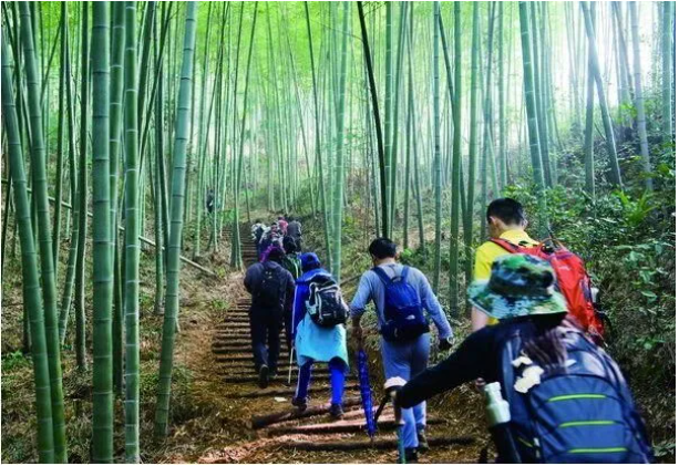 皇冠app手机投注下载